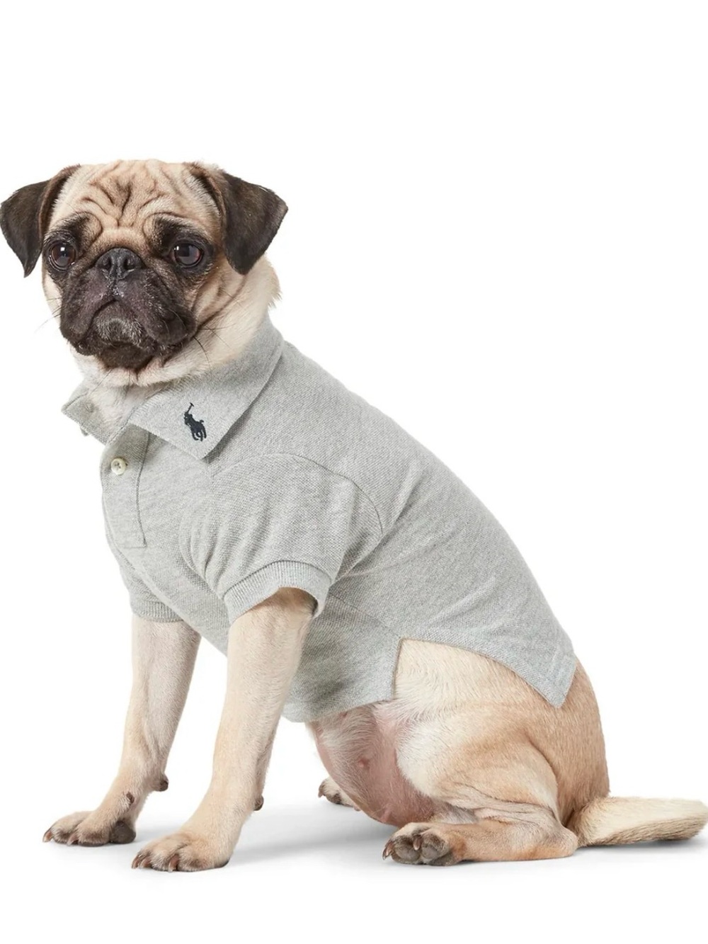 NWT Ralph Lauren Dog Polo